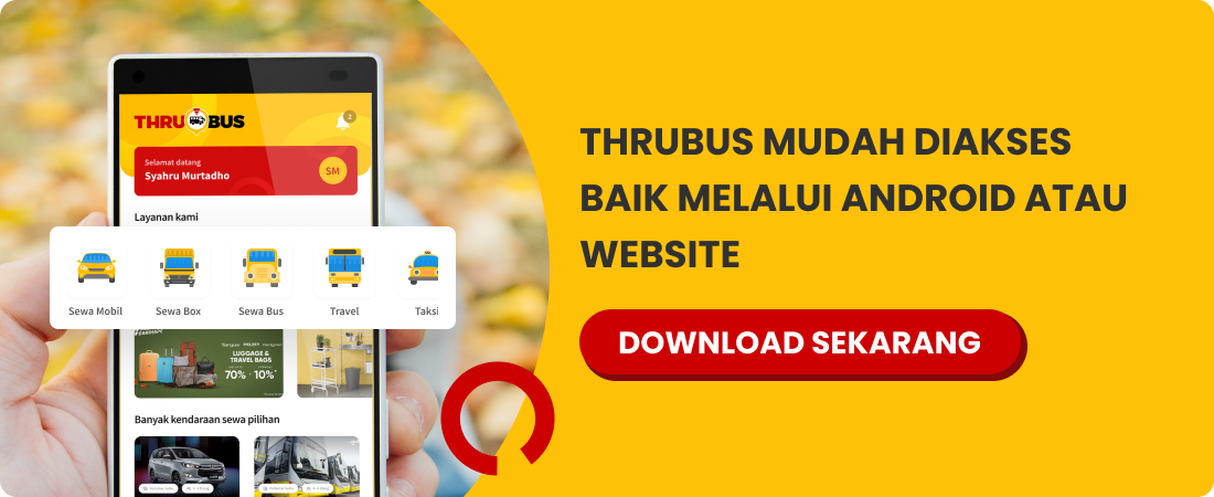 Thrubus