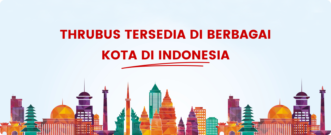 Thrubus